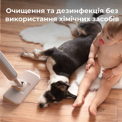Пароочисник AENO SM2