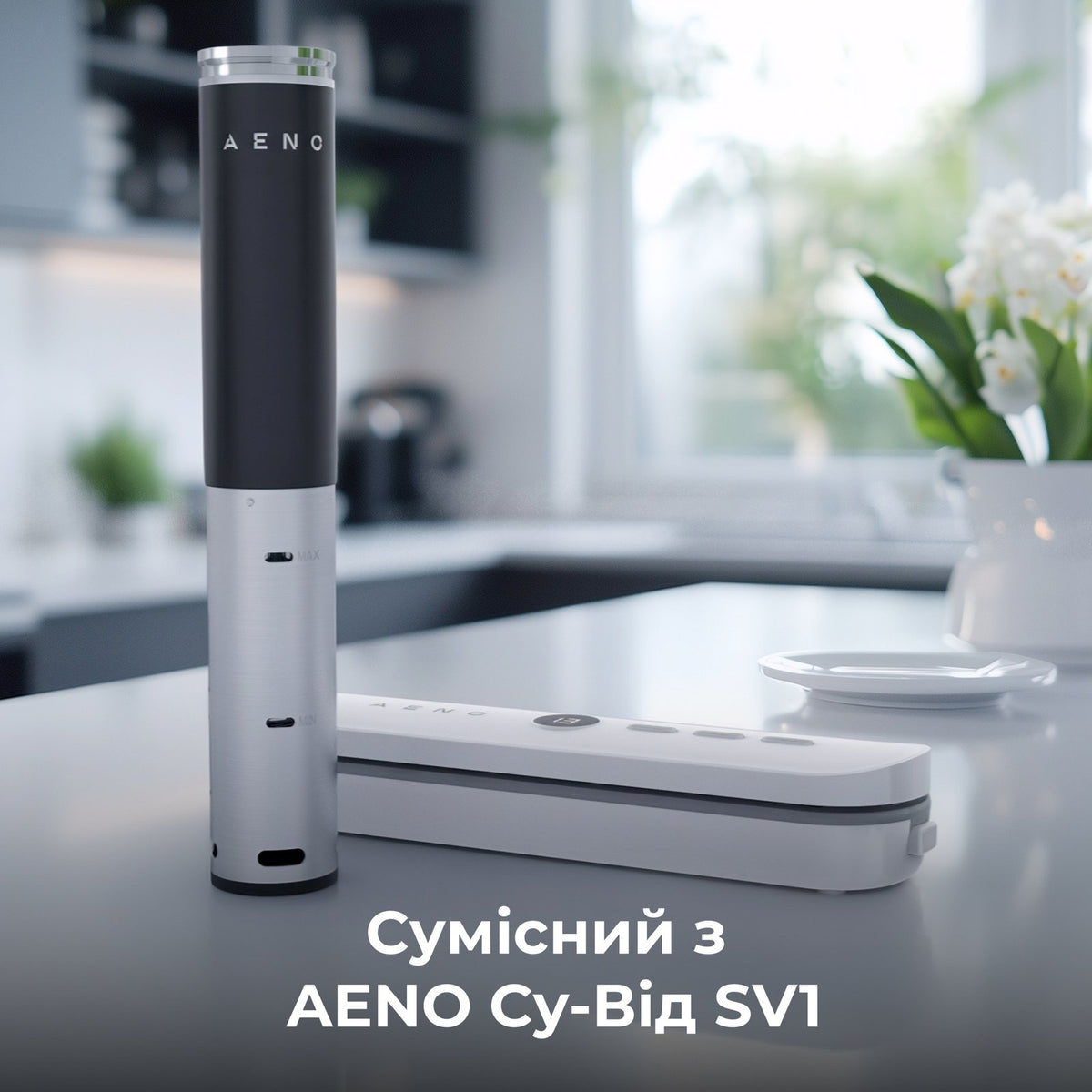 Вакууматор AENO VS3